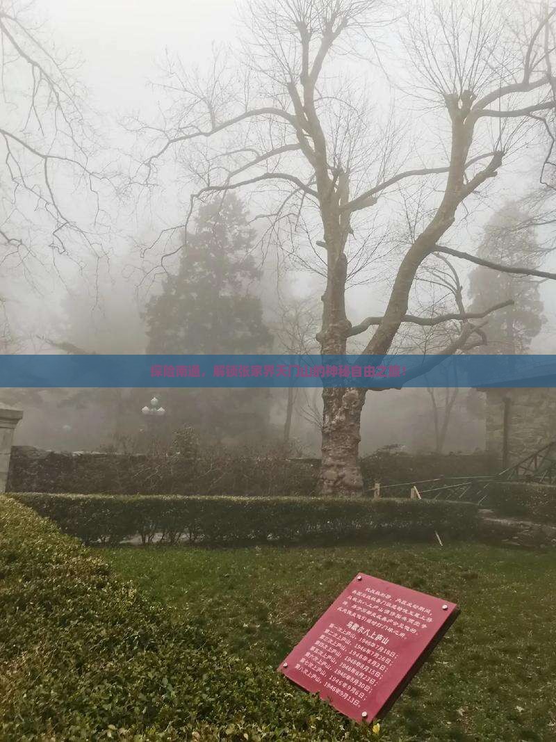 探险南通，解锁张家界天门山的神秘自由之旅！