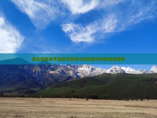 海北到张家界袁家界旅游小吃攻略与特色美食推荐