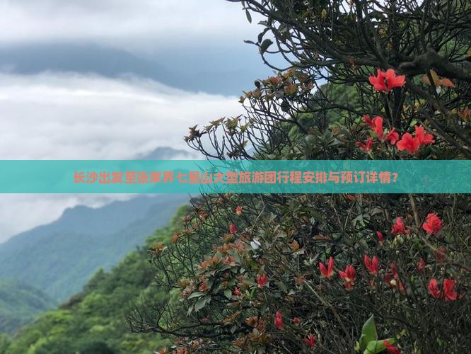长沙出发至张家界七星山大型旅游团行程安排与预订详情? 长沙出发至张家界七星山大型旅游团行程安排与预订详情?