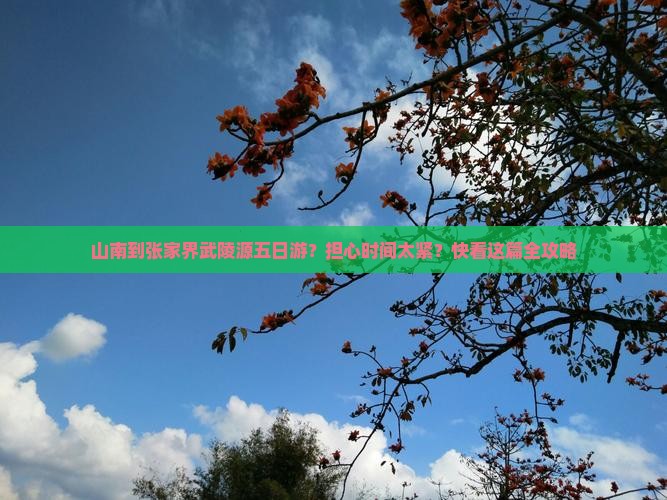 山南到张家界武陵源五日游？担心时间太紧？快看这篇全攻略
