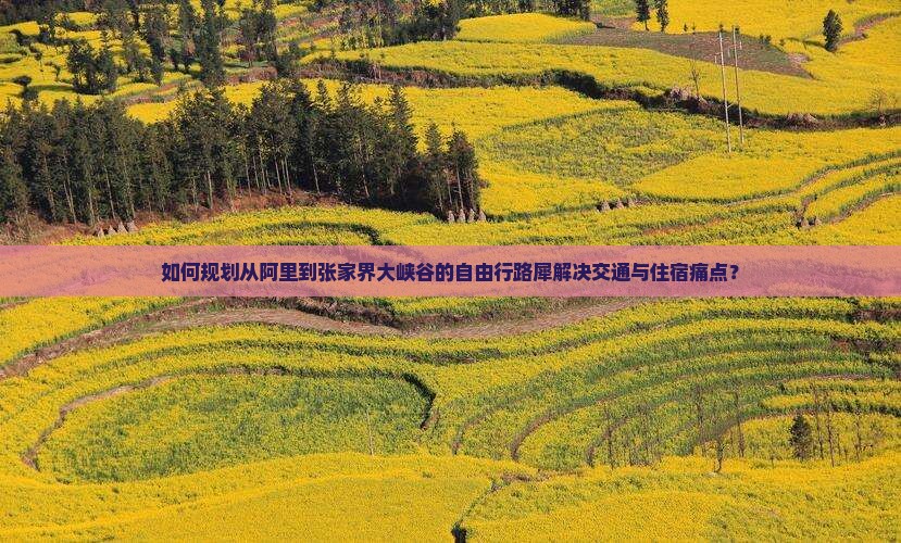 如何规划从阿里到张家界大峡谷的自由行路犀解决交通与住宿痛点？