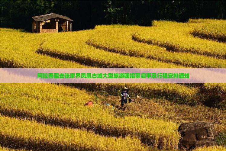 阿拉善盟去张家界凤凰古城大型旅游团招募启事及行程安排通知