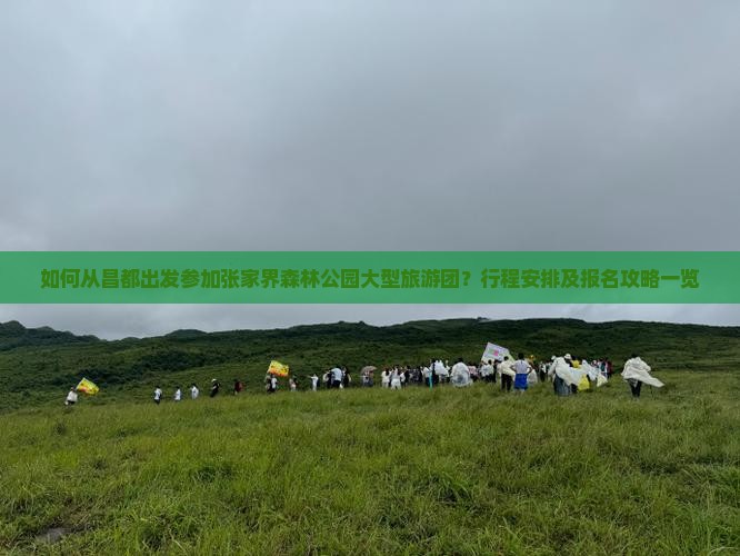 如何从昌都出发参加张家界森林公园大型旅游团？行程安排及报名攻略一览