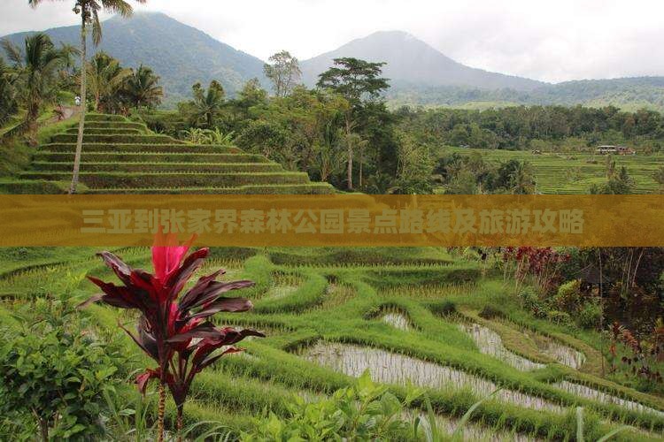 三亚到张家界森林公园景点路线及旅游攻略