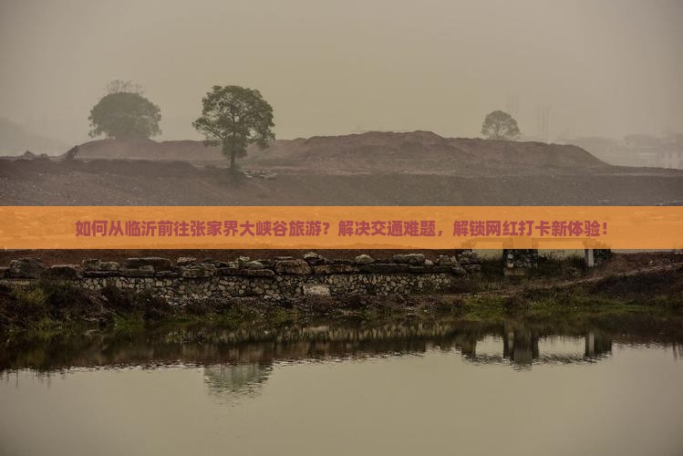 如何从临沂前往张家界大峡谷旅游？解决交通难题，解锁网红打卡新体验！