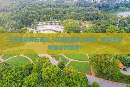 五天探秘黄石奇迹，穿越张家界大峡谷，你会见证哪些自然奇观？