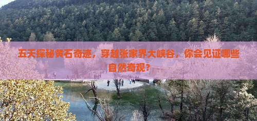五天探秘黄石奇迹，穿越张家界大峡谷，你会见证哪些自然奇观？