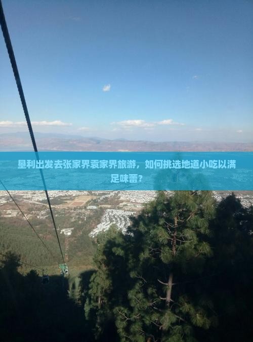 垦利出发去张家界袁家界旅游，如何挑选地道小吃以满足味蕾？