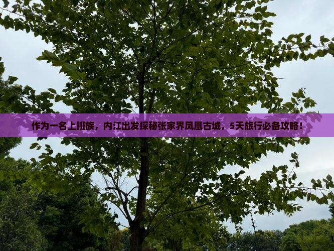 作为一名上班族，内江出发探秘张家界凤凰古城，5天旅行必备攻略！