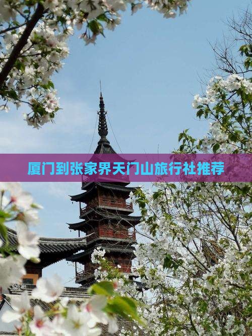 厦门到张家界天门山旅行社推荐