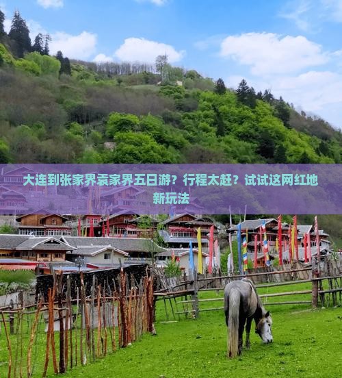 大连到张家界袁家界五日游？行程太赶？试试这网红地新玩法