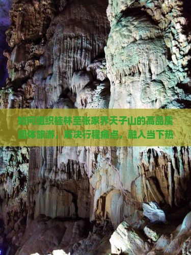 如何组织桂林至张家界天子山的高品质团体旅游，解决行程痛点，融入当下热门旅游元素？