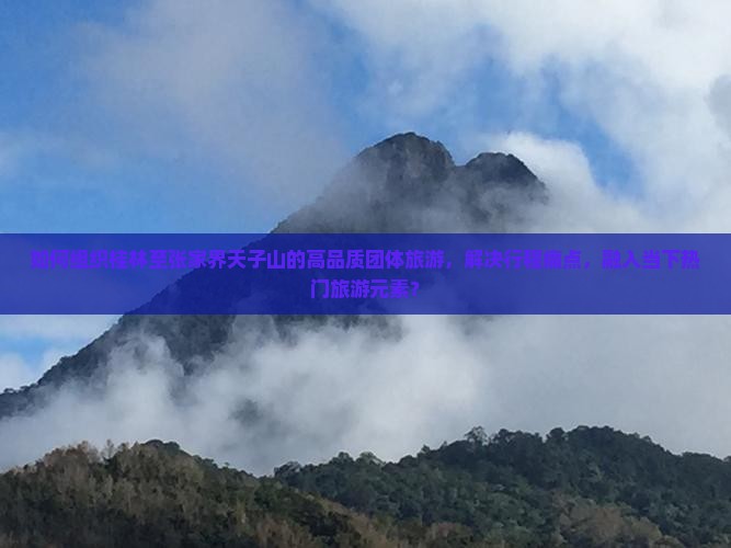 如何组织桂林至张家界天子山的高品质团体旅游，解决行程痛点，融入当下热门旅游元素？