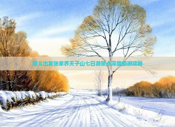遵义出发张家界天子山七日游景点深度旅游攻略