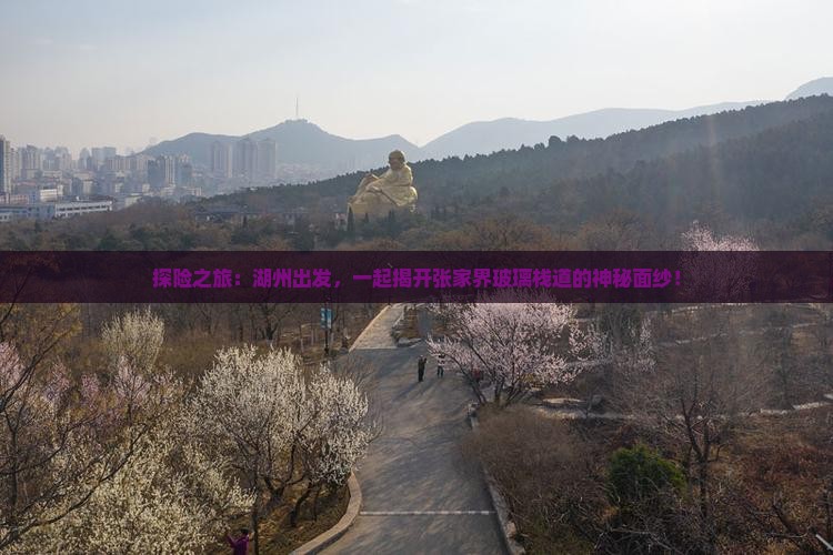 探险之旅：湖州出发，一起揭开张家界玻璃栈道的神秘面纱！