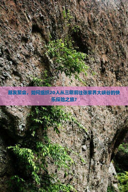 朋友聚会，如何组织20人从三明前往张家界大峡谷的快乐探险之旅？