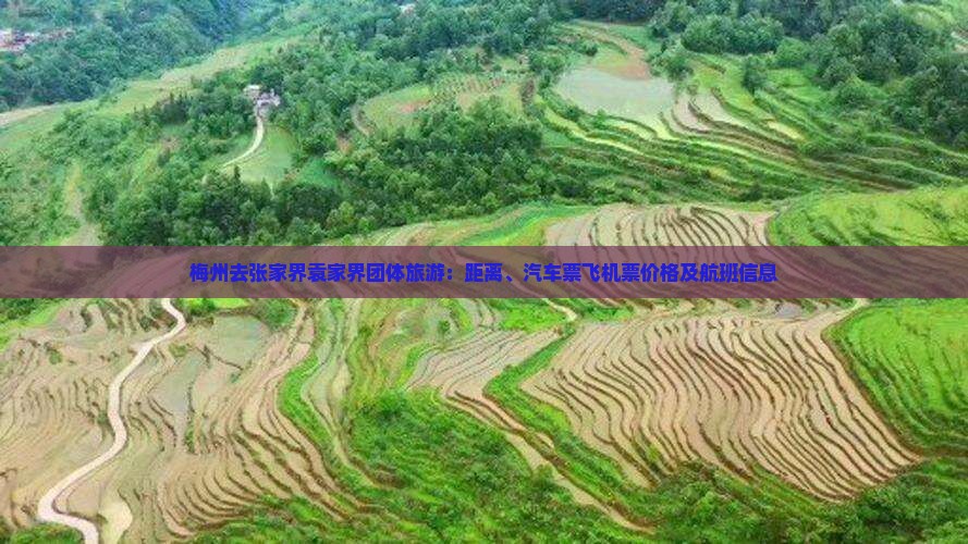 梅州去张家界袁家界团体旅游：距离、汽车票飞机票价格及航班信息