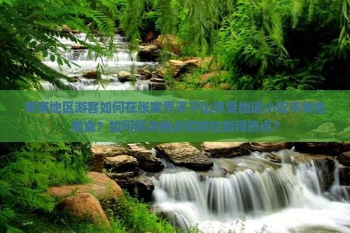 黄南地区游客如何在张家界天子山享受地道小吃与特色美食？如何解决痛点和抓住新词热点？