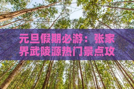 元旦假期必游：张家界武陵源热门景点攻略