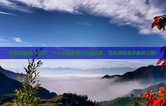 同事们的旅行计划！10人小团怎样从鸡西出发，轻松游张家界森林公园？