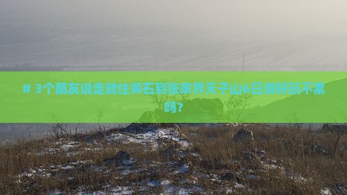 # 3个朋友说走就住黄石到张家界天子山6日游好玩不累吗？