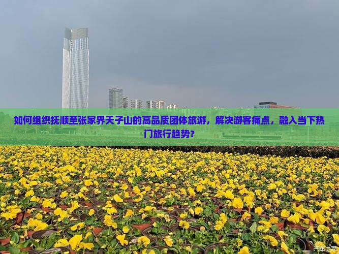 如何组织抚顺至张家界天子山的高品质团体旅游,解决游客痛点,融入当下热门旅行趋势? 如何组织抚顺至张家界天子山的高品质团体旅游,解决游客痛点,融入当下热门旅行趋势?