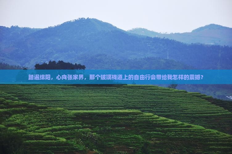踏遍绵阳,心向张家界,那个玻璃栈道上的自由行会带给我怎样的震撼? 踏遍绵阳,心向张家界,那个玻璃栈道上的自由行会带给我怎样的震撼?