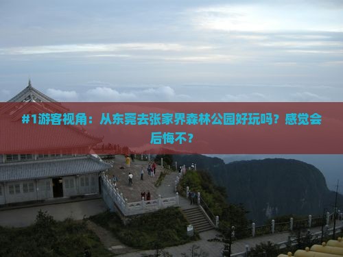 #1游客视角:从东莞去张家界森林公园好玩吗?感觉会后悔不? #1游客视角:从东莞去张家界森林公园好玩吗?感觉会后悔不?