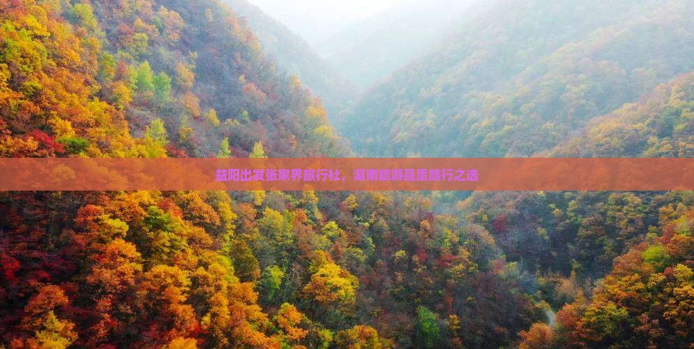 益阳出发张家界旅行社,湖南旅游品质旅行之选 益阳出发张家界旅行社,湖南旅游品质旅行之选