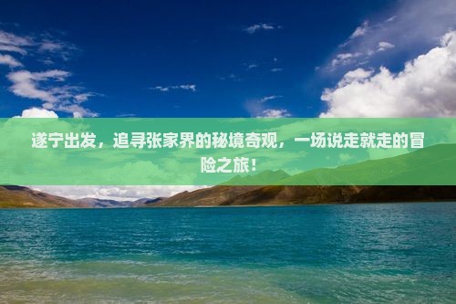 遂宁出发,追寻张家界的秘境奇观,一场说走就走的冒险之旅! 遂宁出发,追寻张家界的秘境奇观,一场说走就走的冒险之旅!