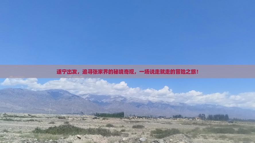 遂宁出发,追寻张家界的秘境奇观,一场说走就走的冒险之旅! 遂宁出发,追寻张家界的秘境奇观,一场说走就走的冒险之旅!