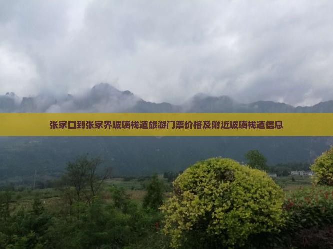 张家口到张家界玻璃栈道旅游门票价格及附近玻璃栈道信息 张家口到张家界玻璃栈道旅游门票价格及附近玻璃栈道信息