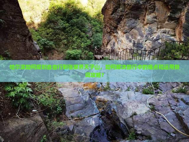 哈尔滨如何规划自由行到张家界天子山,如何解决旅行中的痛点和运用新词攻略? 哈尔滨如何规划自由行到张家界天子山,如何解决旅行中的痛点和运用新词攻略?