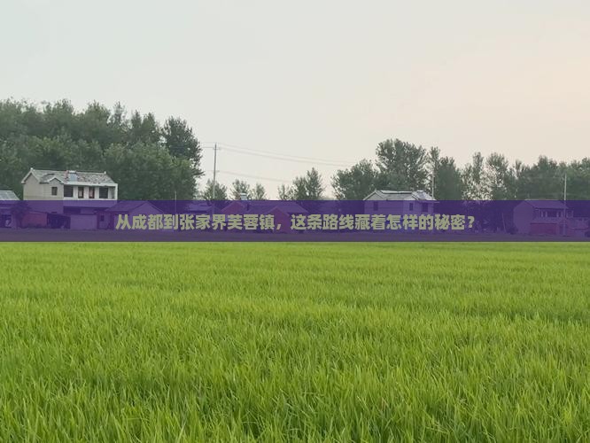 从成都到张家界芙蓉镇，这条路线藏着怎样的秘密？