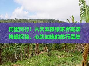闺蜜同行!六天五夜张家界玻璃栈道探险,心跳加速的旅行是怎样的体验? 闺蜜同行!六天五夜张家界玻璃栈道探险,心跳加速的旅行是怎样的体验?