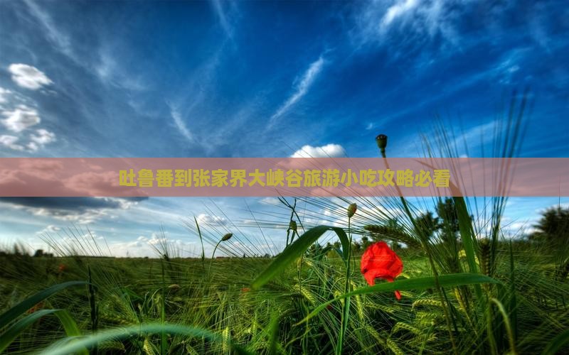 吐鲁番到张家界大峡谷旅游小吃攻略必看 吐鲁番到张家界大峡谷旅游小吃攻略必看