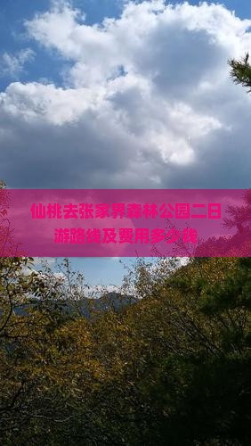 仙桃去张家界森林公园二日游路线及费用多少钱