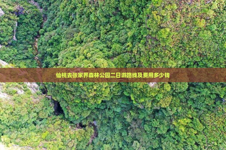 仙桃去张家界森林公园二日游路线及费用多少钱