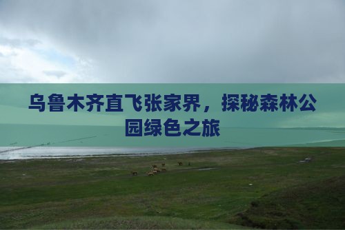 乌鲁木齐直飞张家界，探秘森林公园绿色之旅