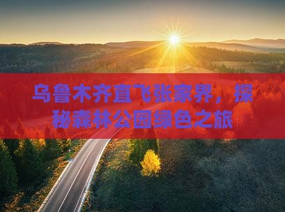 乌鲁木齐直飞张家界，探秘森林公园绿色之旅