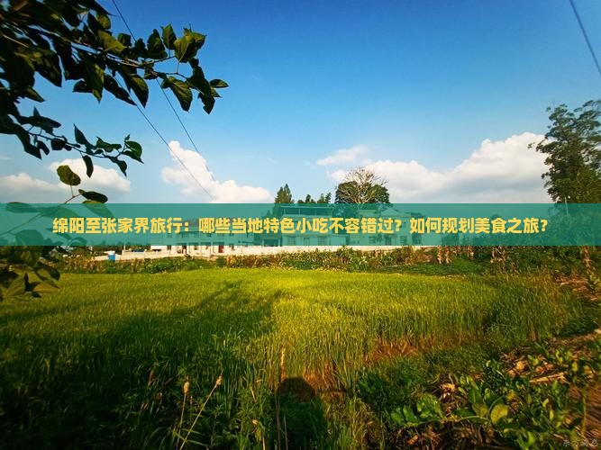 绵阳至张家界旅行：哪些当地特色小吃不容错过？如何规划美食之旅？