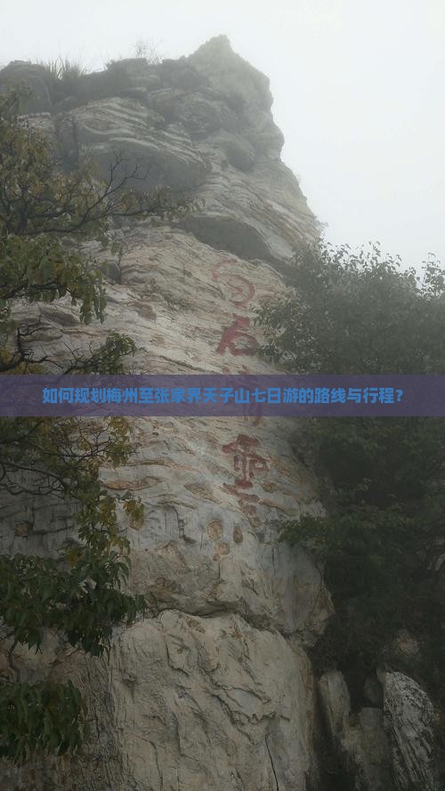 如何规划梅州至张家界天子山七日游的路线与行程？