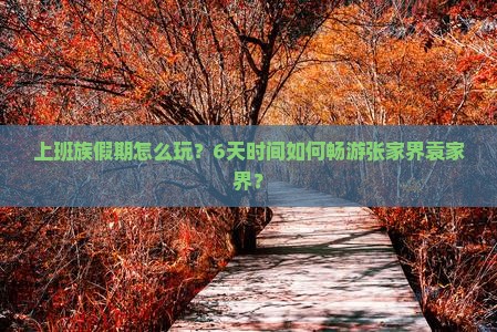 上班族假期怎么玩？6天时间如何畅游张家界袁家界？