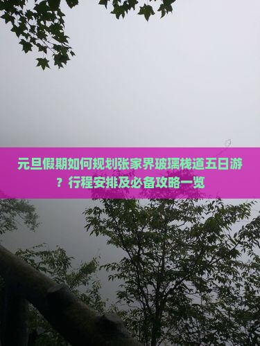 元旦假期如何规划张家界玻璃栈道五日游？行程安排及必备攻略一览