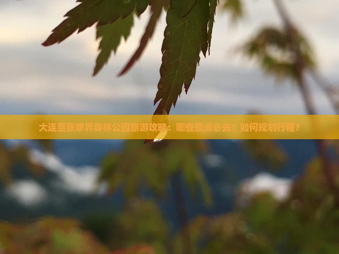 大连至张家界森林公园旅游攻略：哪些景点必去？如何规划行程？