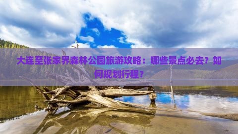 大连至张家界森林公园旅游攻略：哪些景点必去？如何规划行程？