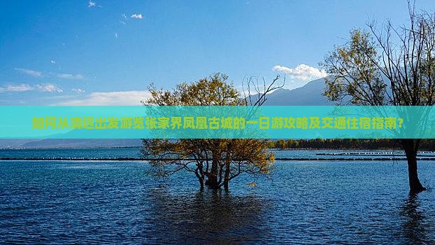 如何从清远出发游览张家界凤凰古城的一日游攻略及交通住宿指南？