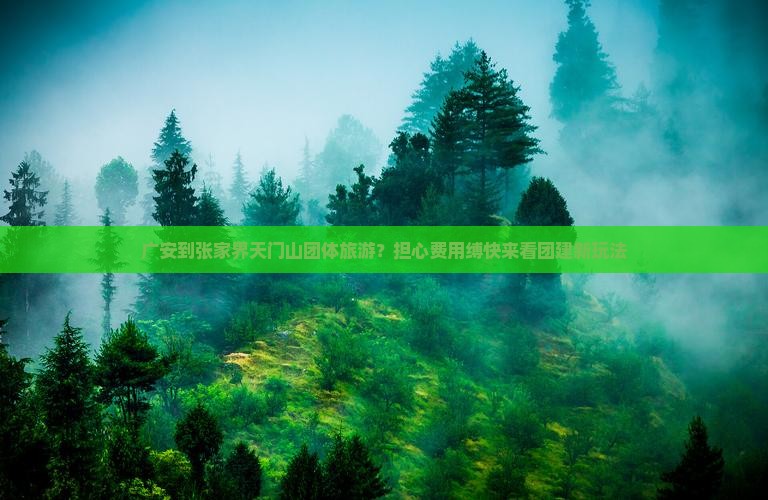 广安到张家界天门山团体旅游？担心费用缚快来看团建新玩法