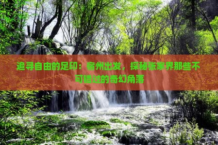 追寻自由的足印：宿州出发，探秘张家界那些不可错过的奇幻角落