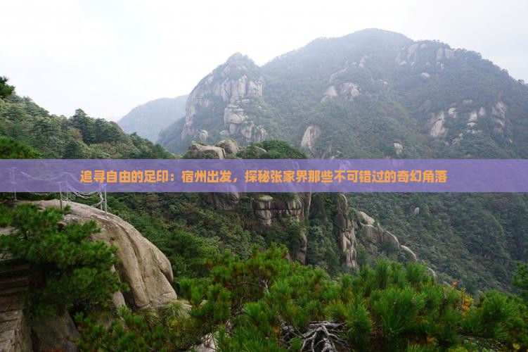 追寻自由的足印：宿州出发，探秘张家界那些不可错过的奇幻角落